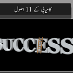کامیابی کے 11 اصول اور ان کی وضاحت