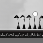 مشکل وقت میں عظیم راہنما کیا اقدامات کرتے ہیں ؟
